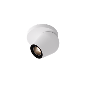 Intra Lighting Pixy C/W -kohdevalaisin, Mattavalkoinen