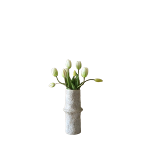 Botané-tulppaanikimppu Valkoinen
