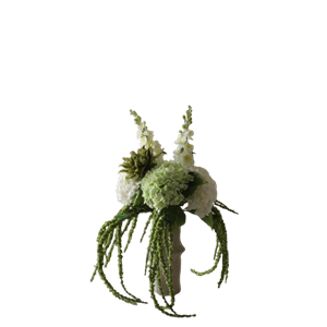 Botané Enchanted Matcha Bouquet Vihreä