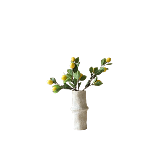 Botané Kun elämä antaa sinulle sitruunakimppu Vihreä/Keltainen