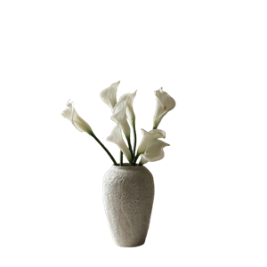Botané Calla -kimppu, valkoinen