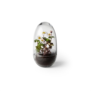 Design House Stockholm Grow -maljakko, Keskikokoinen, Kirkas