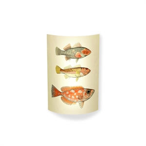 MagicoClaudio Moments Seinävalaisin 3 Fish