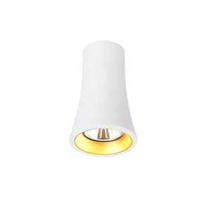 Trizo 21 Naga Spot and Ceiling lamp White + Gold